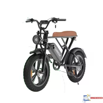 Bicyclette Électrique Ecoride Noir + Bon d'achat 100 dt Offert