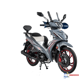 Motocycle Sanya X1000 125cc - GRIS